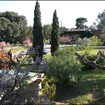 Au Jardin De La Ferme - Vigne Vierge Feriehus *
